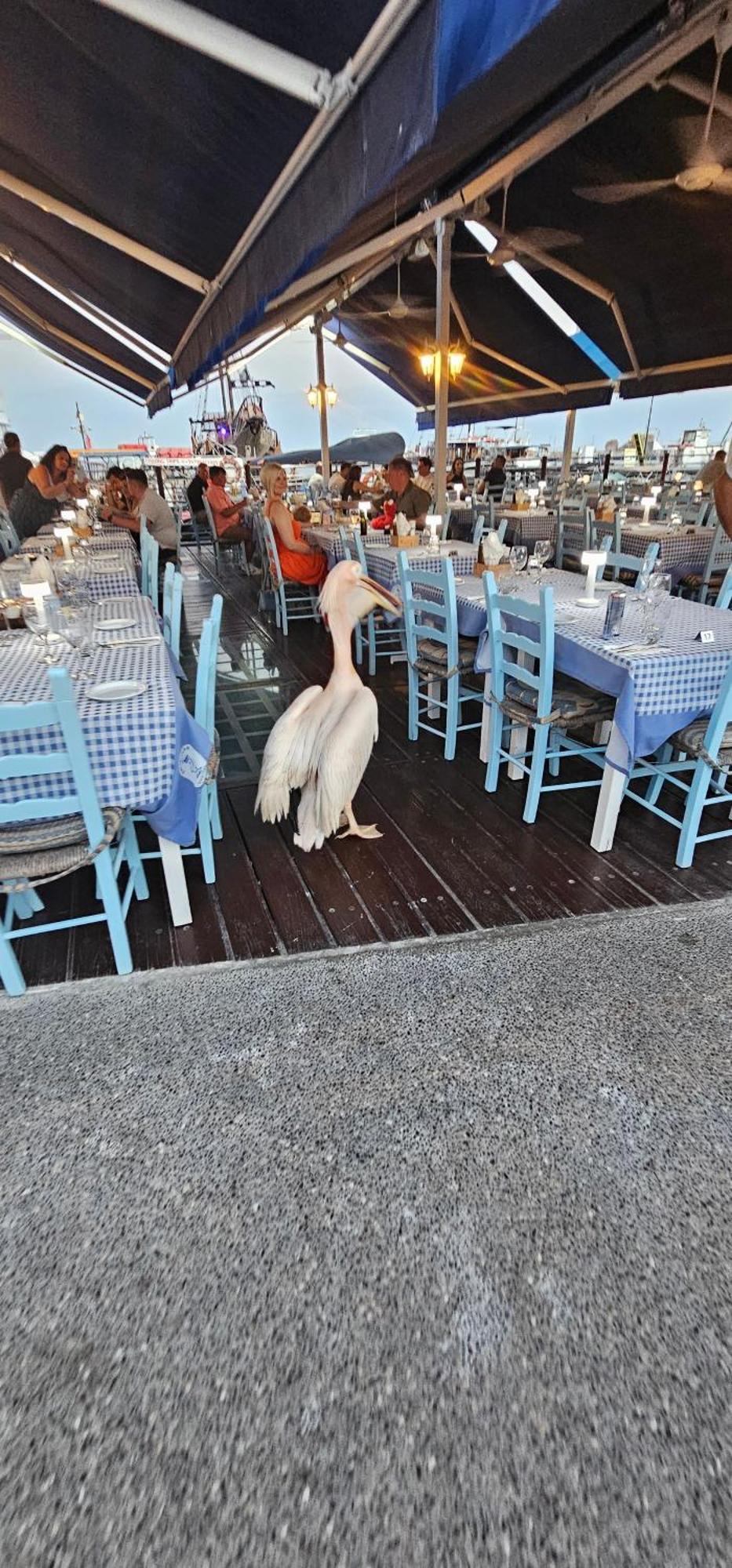 Maya Paphos ภายนอก รูปภาพ